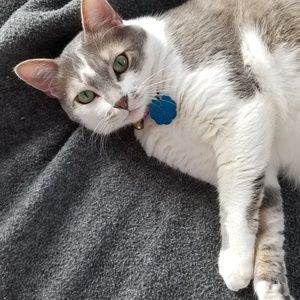 Meet your Posher, Doreen